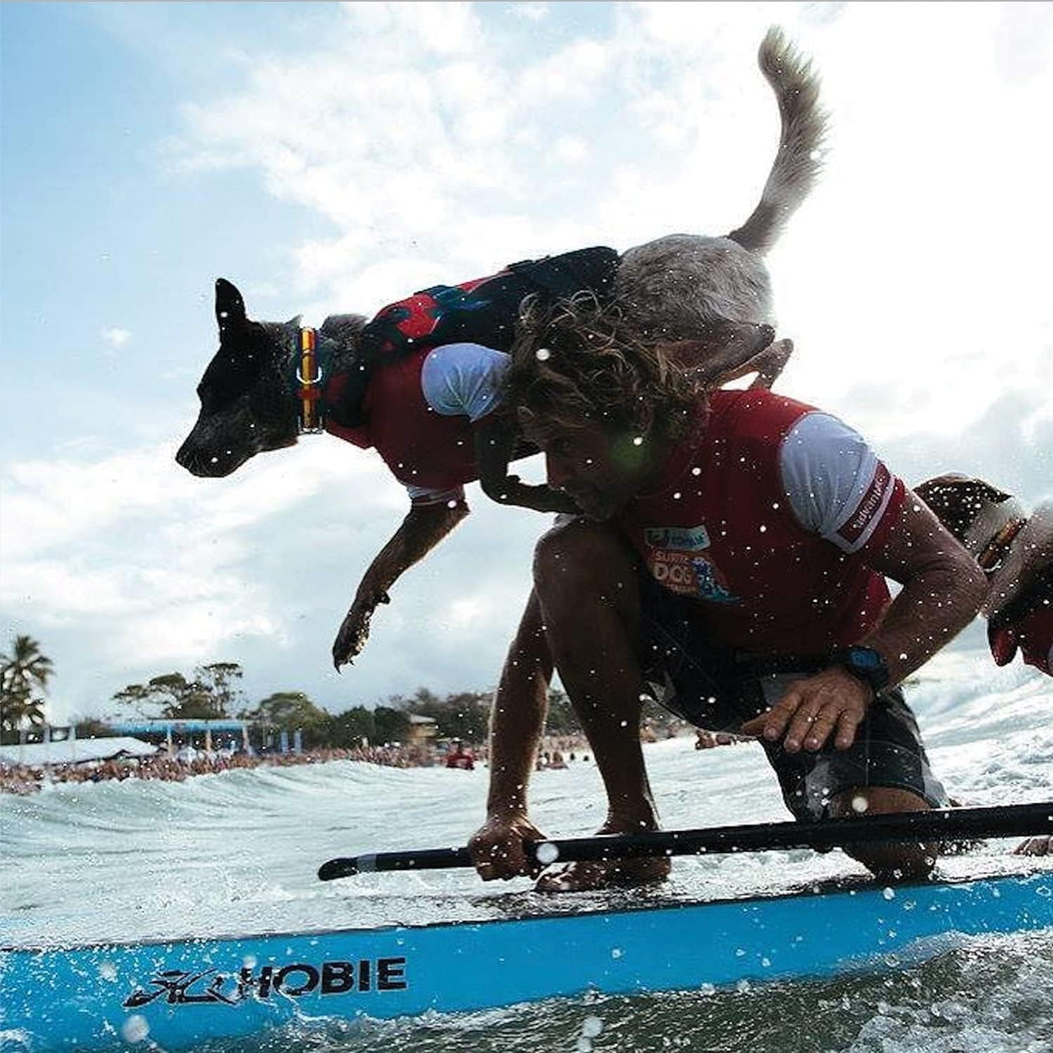 DFD Dog Life Jacket, Dog Life Vest for Swimming - X-Small, Red | Adjustable Dog Swim Vest, Padded Neoprene Straps, Grab Handle, 50% More Flotation Material, Reflective Trim, Stays Upright