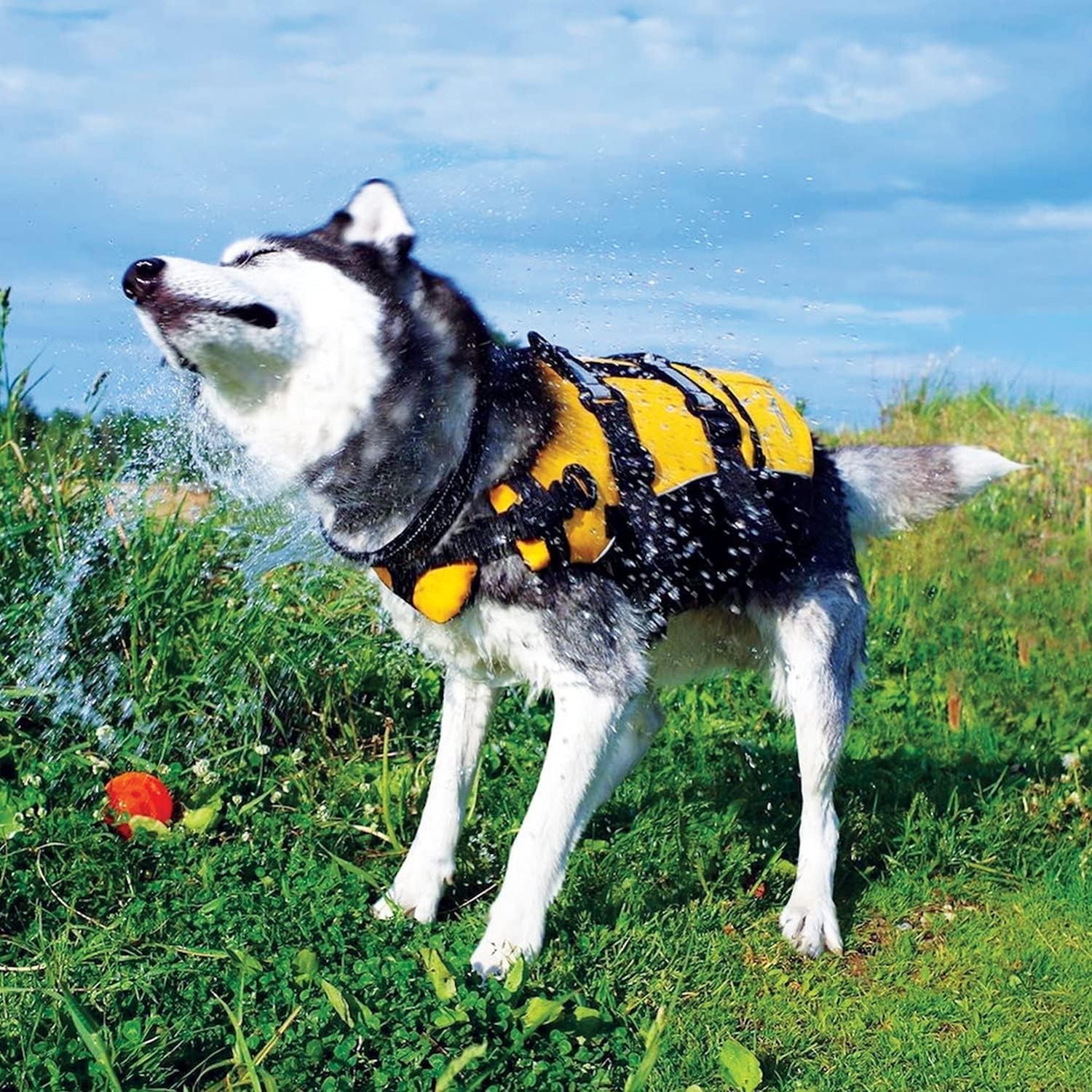 DFD Dog Life Jacket, Dog Life Vest for Swimming - X-Small, Red | Adjustable Dog Swim Vest, Padded Neoprene Straps, Grab Handle, 50% More Flotation Material, Reflective Trim, Stays Upright